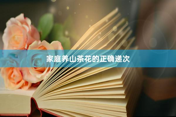 家庭养山茶花的正确递次