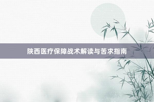 陕西医疗保障战术解读与苦求指南