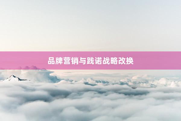 品牌营销与践诺战略改换